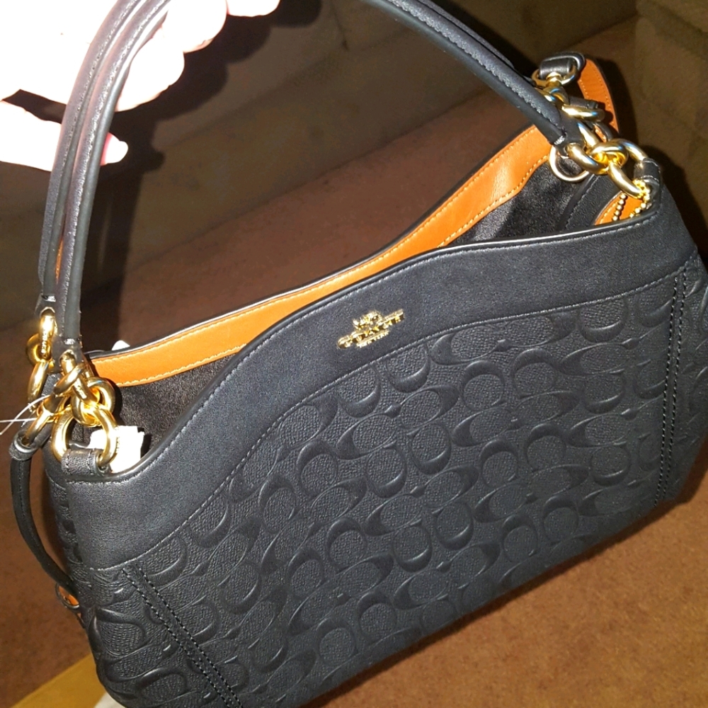 Gorgeous Coach bag, new with all tags! $425